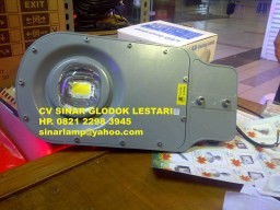 Lampu Jalan LED 30 Watt Lensa Cembung